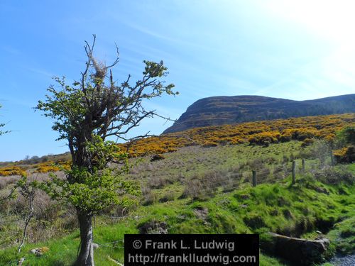 Knocknarea